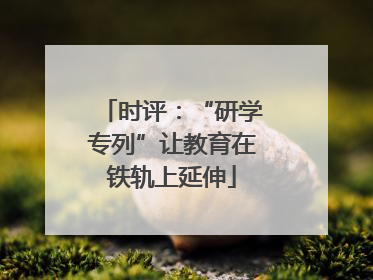 时评：“研学专列”让教育在铁轨上延伸