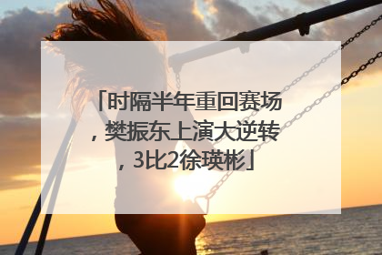 时隔半年重回赛场，樊振东上演大逆转，3比2徐瑛彬