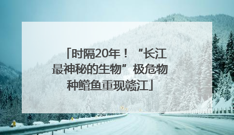 时隔20年！“长江最神秘的生物”极危物种鳤鱼重现赣江