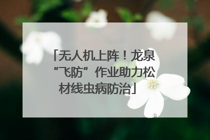 无人机上阵！龙泉“飞防”作业助力松材线虫病防治