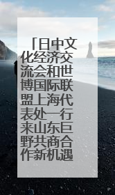 日中文化经济交流会和世博国际联盟上海代表处一行来山东巨野共商合作新机遇