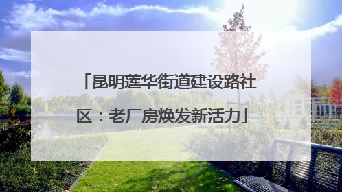 昆明莲华街道建设路社区：老厂房焕发新活力