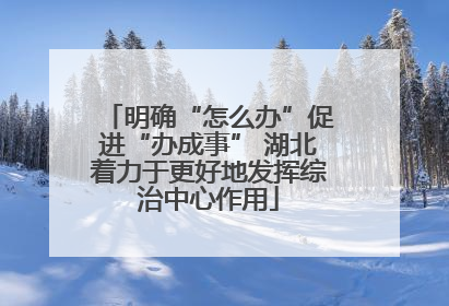明确“怎么办”促进“办成事” 湖北着力于更好地发挥综治中心作用