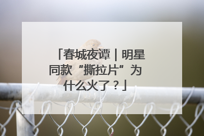 春城夜谭｜明星同款“撕拉片”为什么火了？
