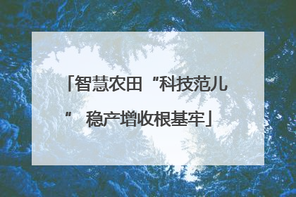 智慧农田“科技范儿” 稳产增收根基牢