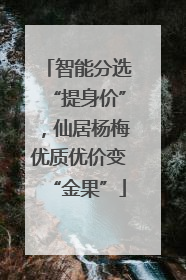 智能分选“提身价”，仙居杨梅优质优价变“金果”