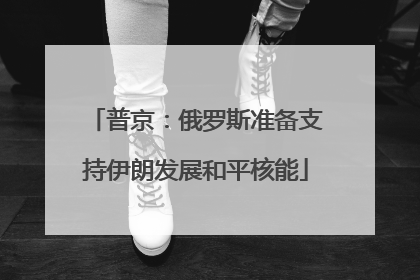 普京：俄罗斯准备支持伊朗发展和平核能