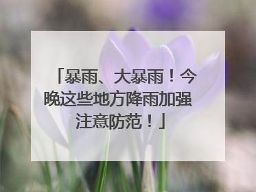暴雨、大暴雨！今晚这些地方降雨加强 注意防范！