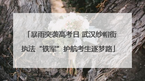 暴雨突袭高考日 武汉纱帽街执法“铁军”护航考生逐梦路