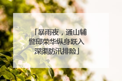 暴雨夜，通山辅警邱荣华纵身跃入深渠防汛排险
