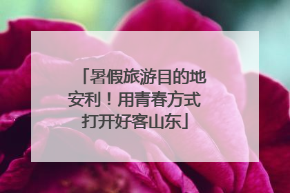 暑假旅游目的地安利！用青春方式打开好客山东