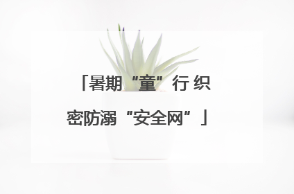 暑期“童”行 织密防溺“安全网”