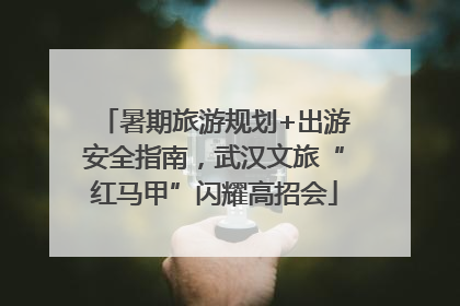 暑期旅游规划+出游安全指南，武汉文旅“红马甲”闪耀高招会