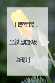 暨军民，当选副部级新职