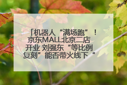 机器人“满场跑”！京东MALL北京二店开业 刘强东“等比例复刻”能否带火线下“618”？