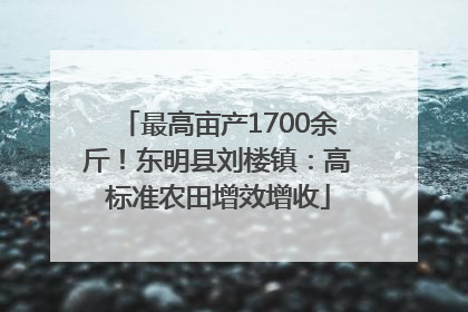 最高亩产1700余斤！东明县刘楼镇：高标准农田增效增收