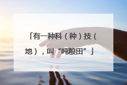 有一种科（种）技（地），叫“吨粮田”