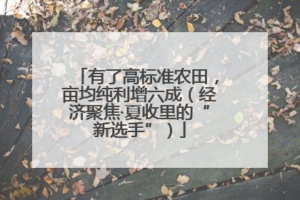 有了高标准农田，亩均纯利增六成（经济聚焦·夏收里的“新选手”）