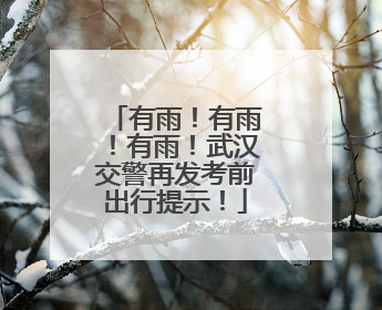 有雨！有雨！有雨！武汉交警再发考前出行提示！