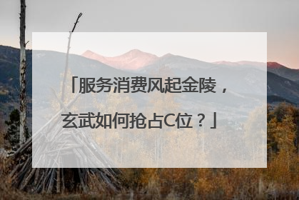 服务消费风起金陵，玄武如何抢占C位？