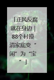 正风反腐就在身边｜88个村摸清家底变“闲”为“宝”