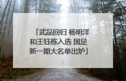 武磊回归 杨明洋和王钰栋入选 国足新一期大名单出炉