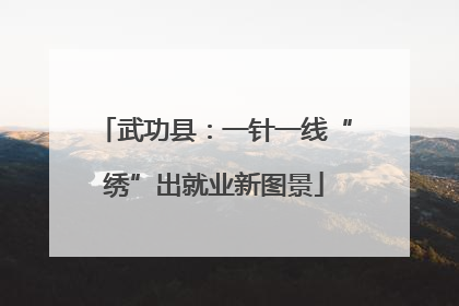 武功县：一针一线“绣”出就业新图景