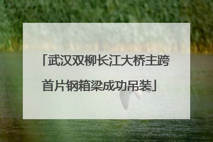 武汉双柳长江大桥主跨首片钢箱梁成功吊装