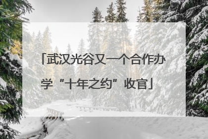 武汉光谷又一个合作办学“十年之约”收官