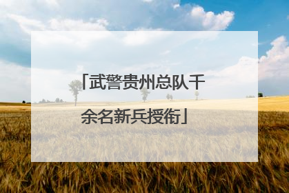 武警贵州总队千余名新兵授衔