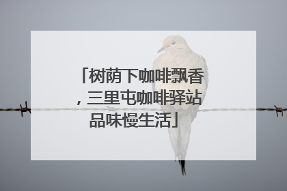树荫下咖啡飘香，三里屯咖啡驿站品味慢生活