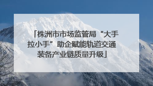 株洲市市场监管局“大手拉小手”助企赋能轨道交通装备产业链质量升级