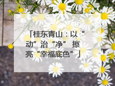 桂东青山：以“动”治“净” 擦亮“幸福底色”