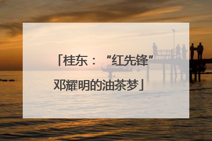 桂东：“红先锋”邓耀明的油茶梦
