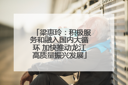 梁惠玲：积极服务和融入国内大循环 加快推动龙江高质量振兴发展