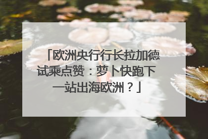 欧洲央行行长拉加德试乘点赞：萝卜快跑下一站出海欧洲？