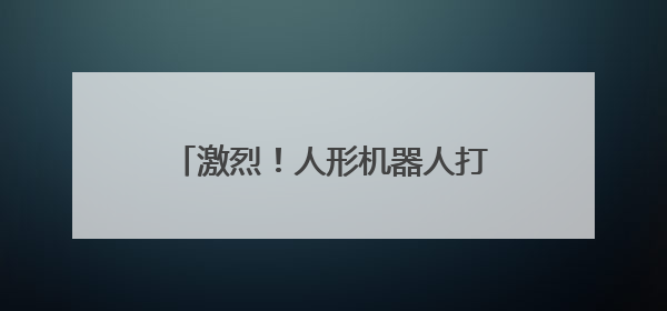 激烈！人形机器人打起来了！拳拳到铁，还会拍屁股挑衅……