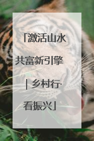 激活山水共富新引擎｜乡村行·看振兴