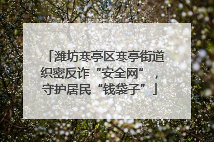 潍坊寒亭区寒亭街道织密反诈“安全网”，守护居民“钱袋子”