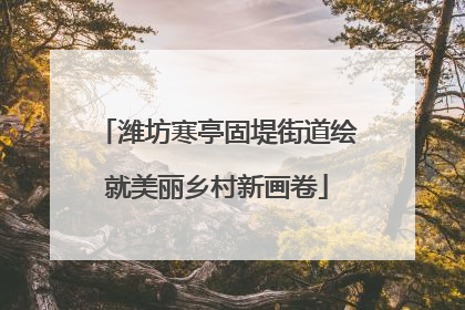 潍坊寒亭固堤街道绘就美丽乡村新画卷