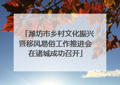 潍坊市乡村文化振兴暨移风易俗工作推进会在诸城成功召开