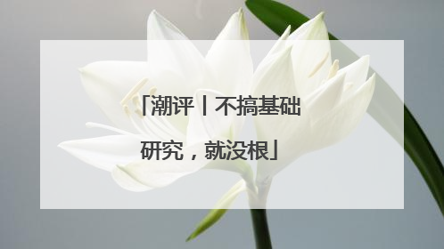 潮评丨不搞基础研究，就没根