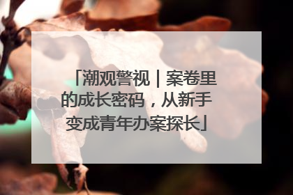 潮观警视｜案卷里的成长密码，从新手变成青年办案探长