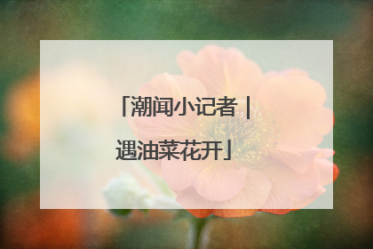 潮闻小记者｜遇油菜花开