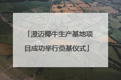 澄迈椰牛生产基地项目成功举行奠基仪式