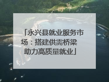 永兴县就业服务市场：搭建供需桥梁 助力高质量就业