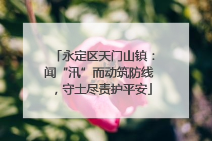 永定区天门山镇：闻“汛”而动筑防线，守土尽责护平安