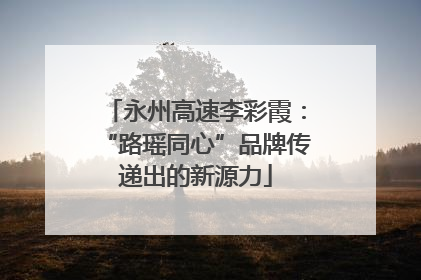 永州高速李彩霞：“路瑶同心”品牌传递出的新源力