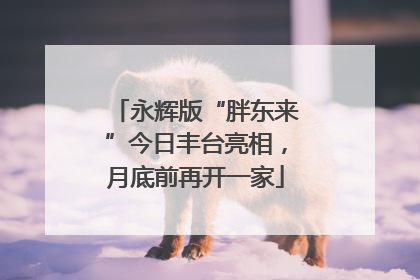 永辉版“胖东来”今日丰台亮相，月底前再开一家
