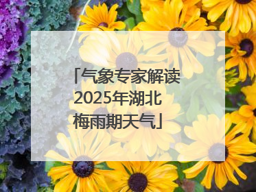 气象专家解读2025年湖北梅雨期天气